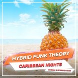 Hybrid Funk Theory - Caribbean Nights (Extended Mix)