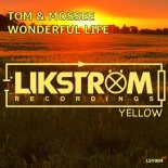 TOM & MOSSEE - Wonderful Life (Deep Melodic Mix)