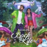 Shanguy - Back To Life (NRD1 x Parkah & Durzo Extended Mix)