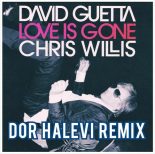 David Guetta & Chris Willis - Love Is Gone (Dor Halevi Remix)