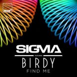 Sigma, Birdy - Find Me (Vize Extended Remix)