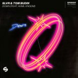 SLVR & Tom Budin - Down (Feat. ANML KNGDM)
