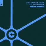 Alex Sonata & TheRio feat. Gid Sedgwick - Awakening (Radio Edit)