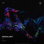 Nogun x SPLT - Baila (Extended Mix)