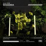 Joan Jose - Wakanda (Extended Mix)