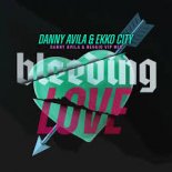 Danny Avila, Ekko City - Bleeding Love (Danny Avila & Reggio VIP Club Mix)