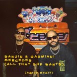 Sanjin & Garmiani - MERCEDES (All That She Wants) (Amice Remix)