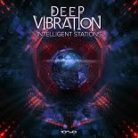 Deep Vibration - Liquid Stations (Original Mix)