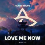 Island Thugs - Love Me Now (Extended Mix)