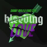 Danny Avila - Bleeding Love (Freejak Remix)