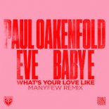 Paul Oakenfold - What’s Your Love Like (Manyfew Extended Remix)