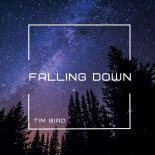 Tim Bird - Falling Down (Radio Edit)