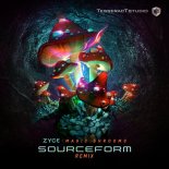 Zyce - Magic Shrooms (Sourceform Remix)