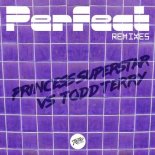 Princess Superstar - Perfect 2020 (Todd Terry Extended Remix)