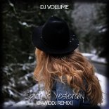 DJ Volume - Spirit Of Yesterday (DawidDJ Bootleg)