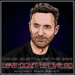 David Guetta vs The Egg - Love Don\'t Let Me Go (Andrey Rain Remix)