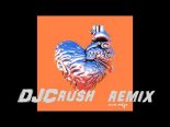 Ava Max - My Head & My Heart (DJCrush Remix)