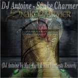 DJ Antoine Vs Mad Mark - Snake Charmer (DJ Antoine Vs Mad Mark & Van Vantiesto Rework)