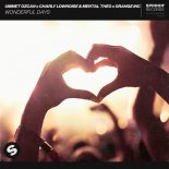 Ummet Ozcan x Charly Lownoise & Mental Theo x Orange INC - Wonderful Days (Extended Mix)