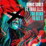 Sonic Souls, Ebru Ellis - Too Blind To See It (Extended Mix)