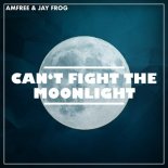 Jay Frog, Amfree - Can't Fight the Moonlight (Original Mix)