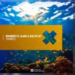 Mhammed El Alami & Waltin Jay - Thankful (Extended Mix)