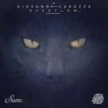 Giovanni Carozza - Overflow