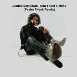 Justice Carradine - Can’t Feel A Thing (Pasha Shock Remix)
