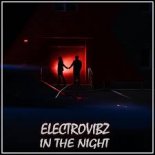Electrovibz - In The Night (Extended Mix)