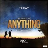 TeCay - Anything (St3Ff 4 St4Ff Remix)