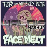 TJR & Whiskey Pete & Justin James - Face Melt (Waldis Mashup)