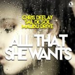 Chris Deelay & Sal De Sol & Malibu Drive - All That She Wants