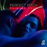 Perfect Pitch - Tainted Love (Extended Mix)