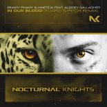 Binary Finary & KINETICA feat. Audrey Gallagher - In Our Blood (XiJaro & Pitch Extended Remix)