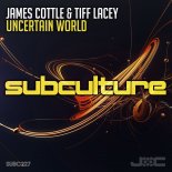 James Cottle & Tiff Lacey - Uncertain World (Extended Mix)