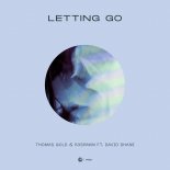 Thomas Gold & R3SPAWN ft. David Shane - Letting Go (Extended Mix)