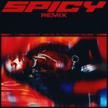 Ty Dolla $ign ft. J Balvin, YG, Tyga & Post Malone - Spicy (Remix)