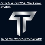 DJ SEBA DISCO POLO REMIX SKŁADANKA  (Tr!Fle & LOOP & Black Due REMIX)  NOWOŚCI 2021