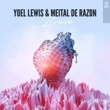 Yoel Lewis & Meital De Razon - Brave (Extended Mix)