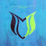 Sergey Salekhov feat. Amin Salmee - Euphoria (Extended Mix)