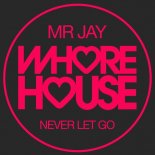 Mr Jay - Never Let Go (Original Mix)