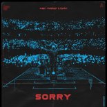 Alan Walker & ISÁK - Sorry (Albert Vishi Remix)