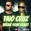 Taio Cruz - Break Your Heart (DJ MKROOVE Bootleg)