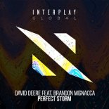 David Deere feat. Brandon Mignacca - Perfect Storm (Extended Mix)