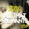 Chris Deelay, Sal De Sol & Malibu Drive x Dj Sasha White & MC-Mr.Black - All That She Wants (Alex Botcher MashUp)