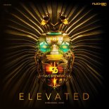 Dave Steward - Elevated (Original Mix)