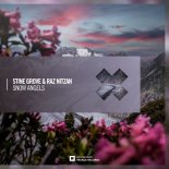 Stine Grove & Raz Nitzan -Snow Angels (Extended Mix)