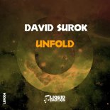 David Surok - Unfold