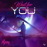 Medii, Casey Cook - Wait For You (Original Mix)