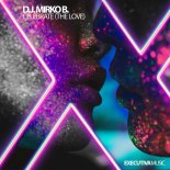 D.J. Mirko B. - Celebrate (The Love) (Original Mix)